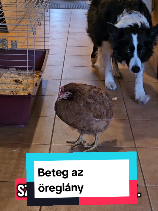@Akt&iacute;van kuty&aacute;val