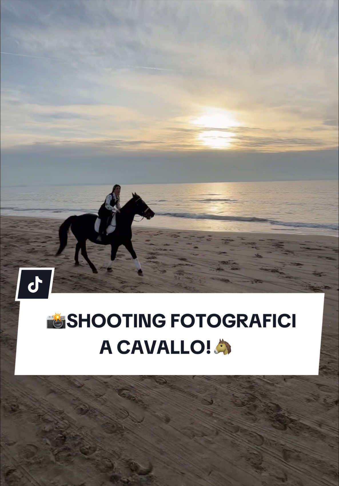 @ANGELACAPUANOHORSE