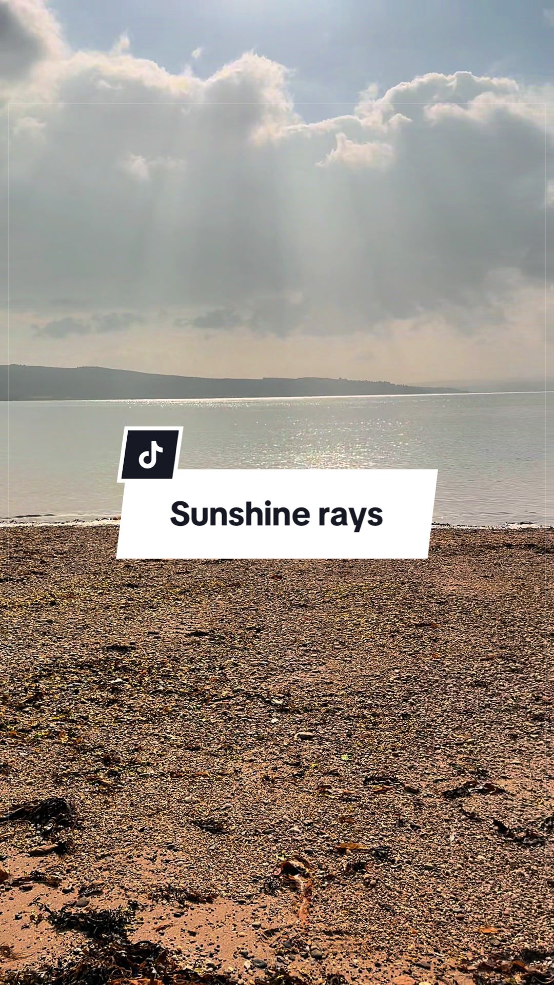 @Scottish_June 🏴