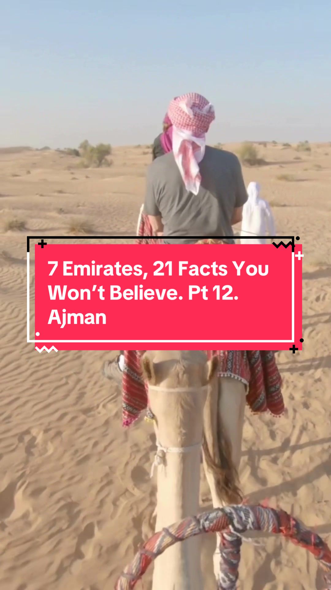 @uaeplaybook.com
