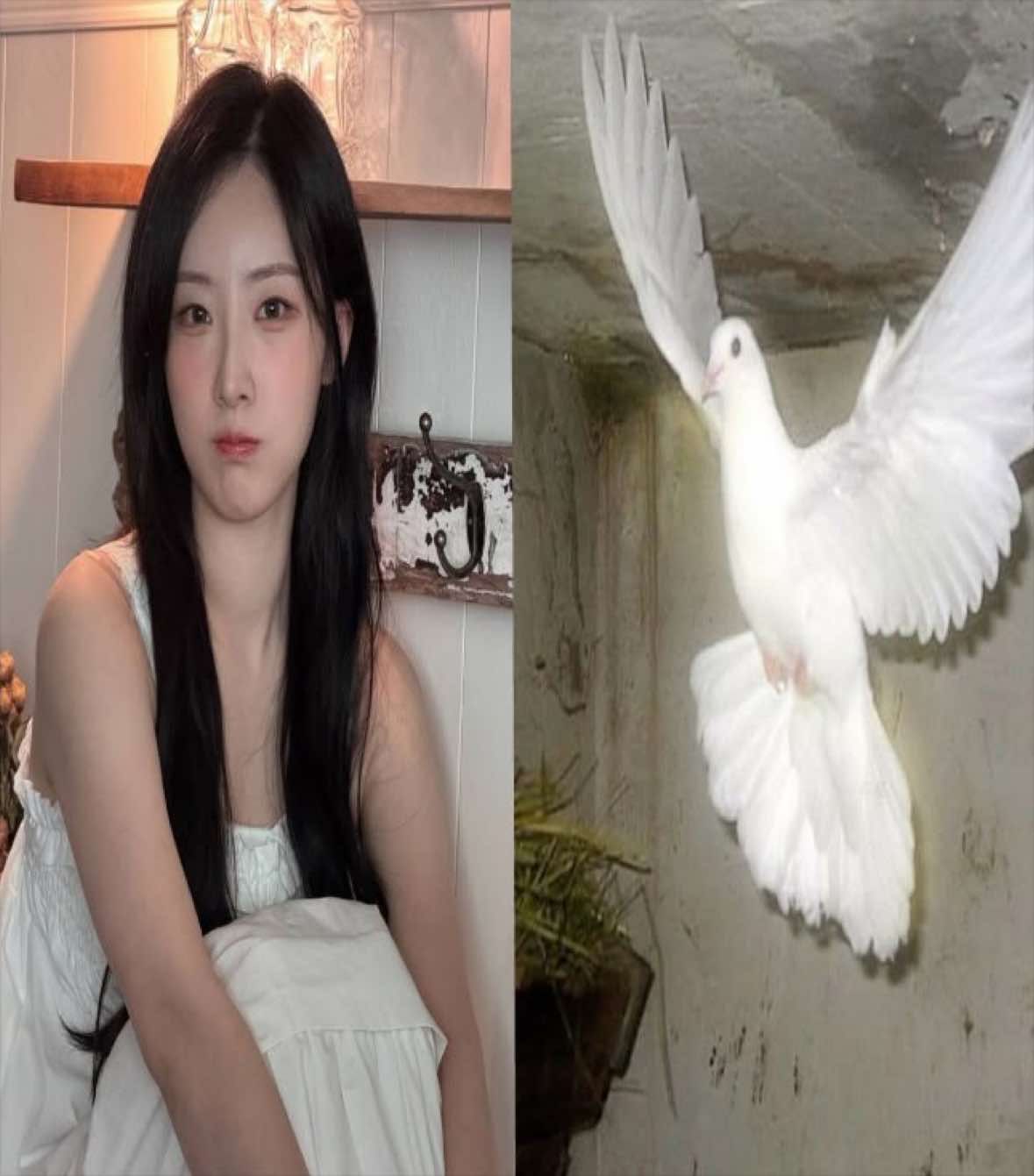 @𐚁 ִֹℳ 𝛂 𝓲 ! ִֹ