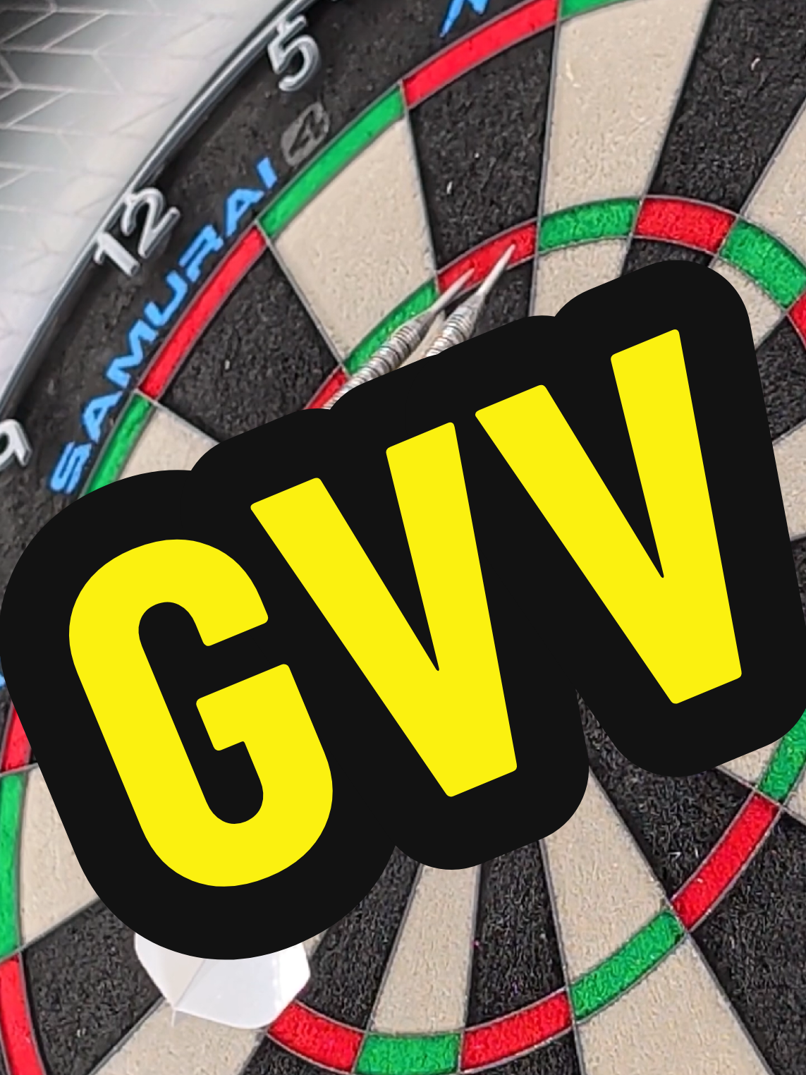 @Rocco Darts