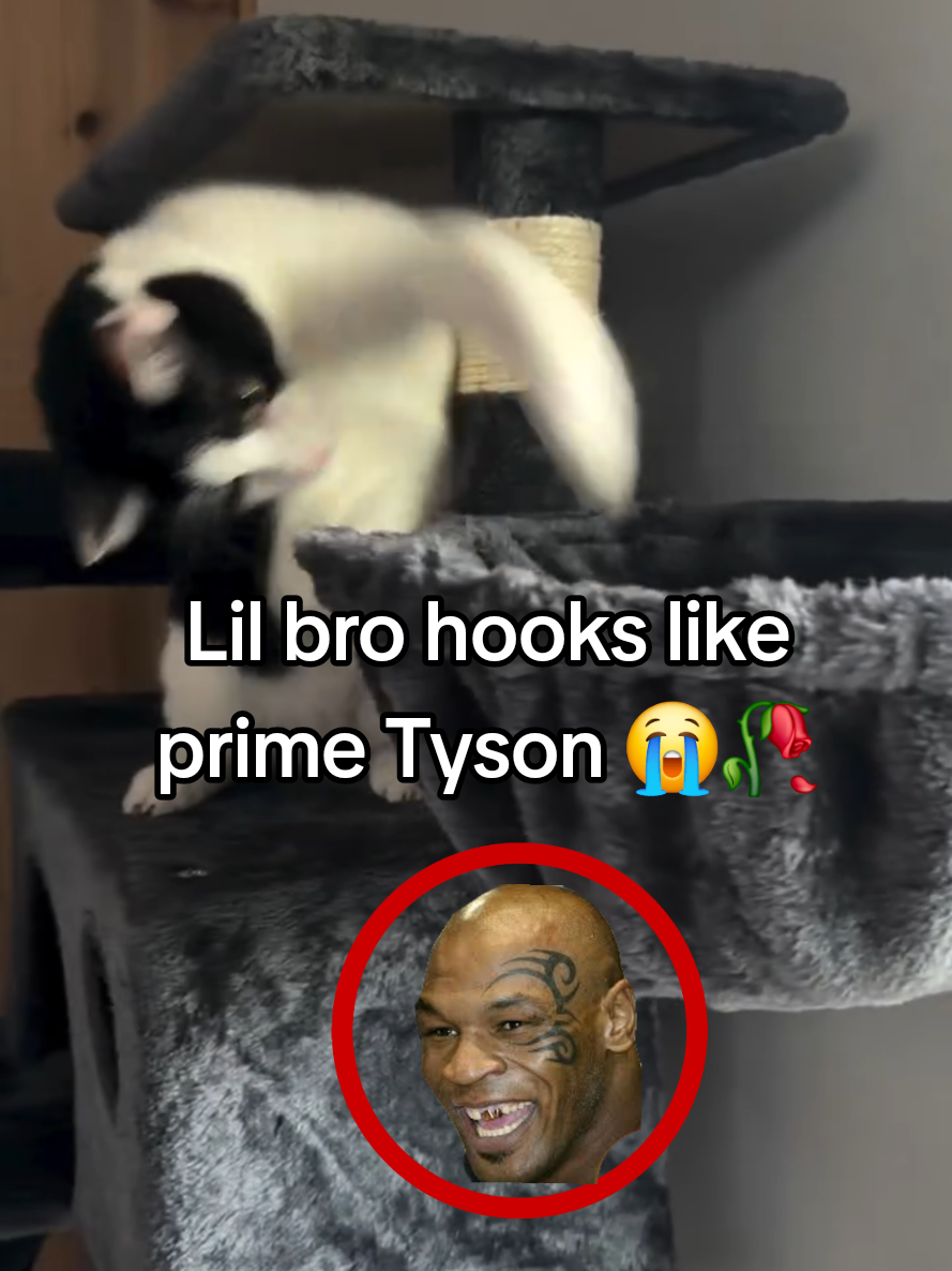 @Promanskills