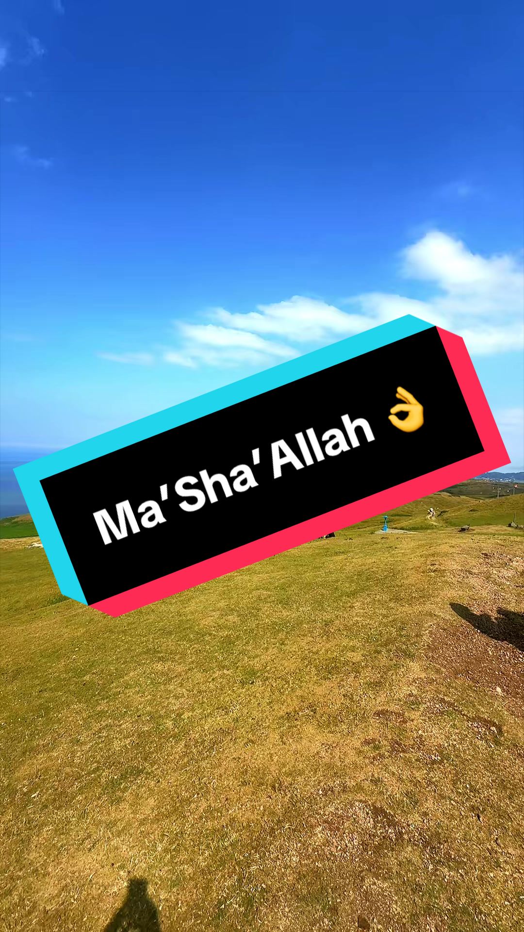 @Kashmiri-Bhai-Jaan-PTI🇵🇰🐅