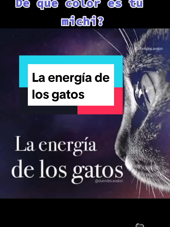@Rosi Ramos