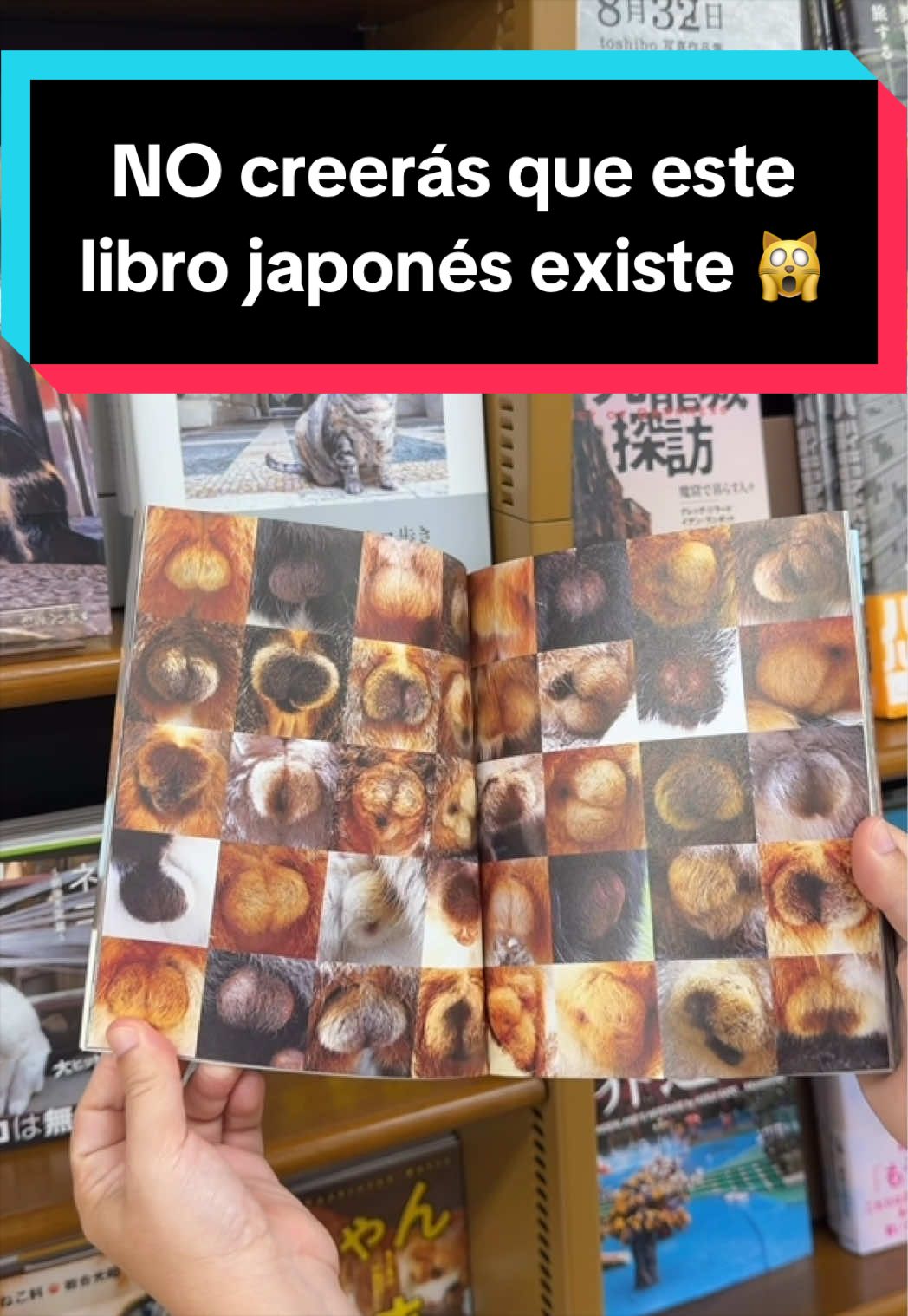 @Jap&oacute;n Alternativo