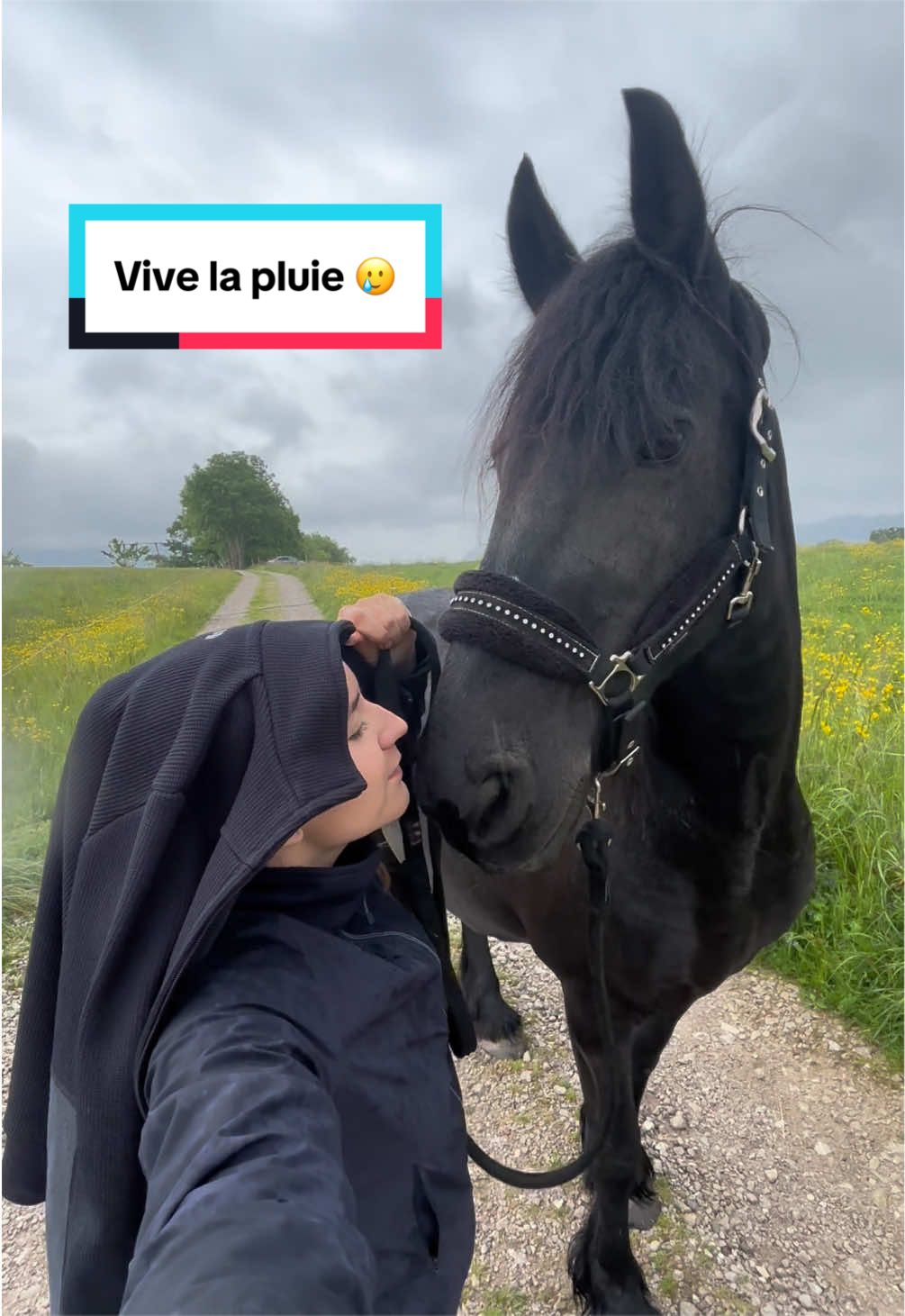 @mon poney pie