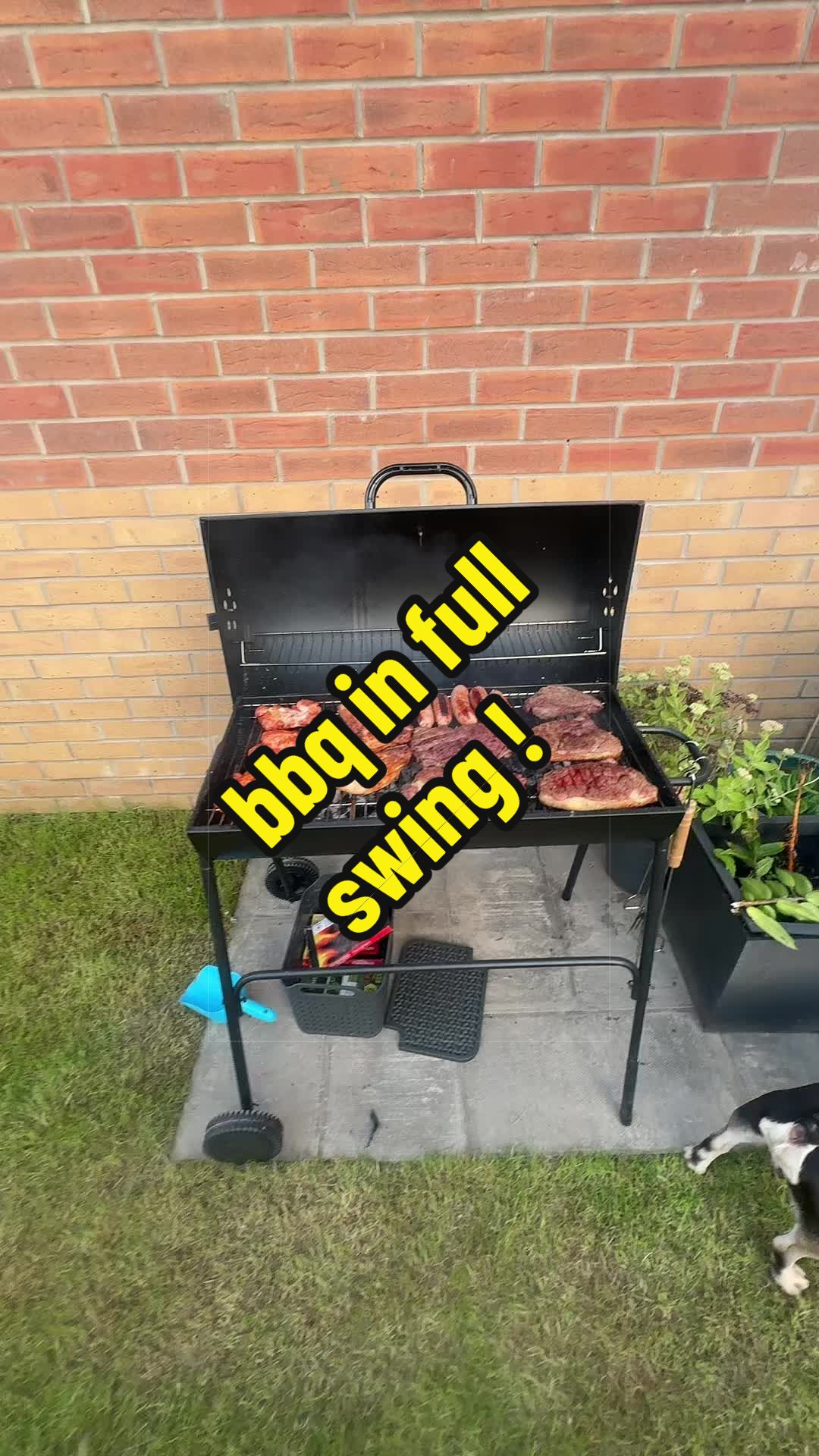 @jasonthetruckboy