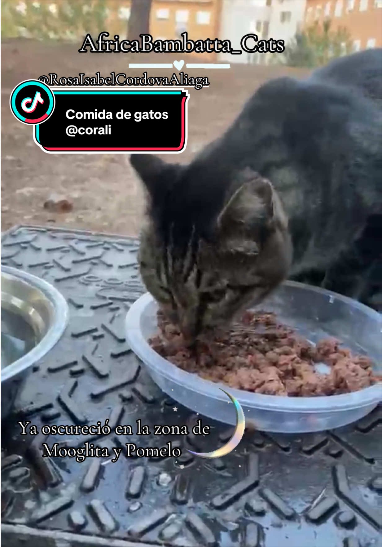 @catwoman_special_voice