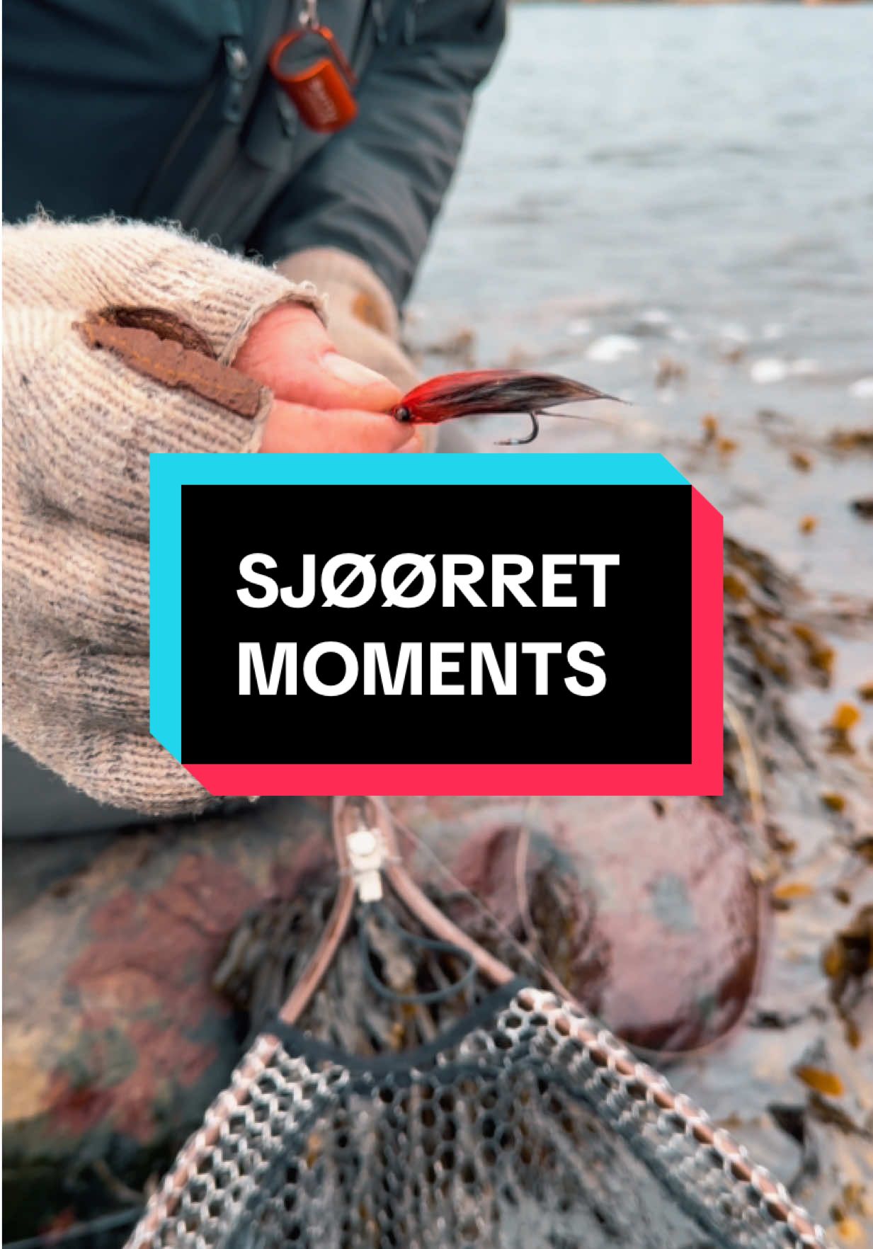 @Sørfiske