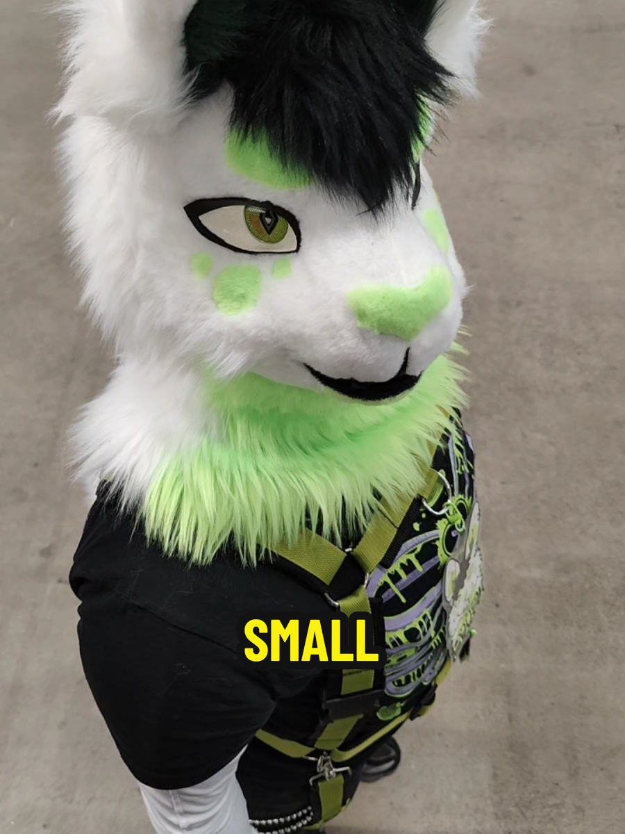 @SipiTheBunny