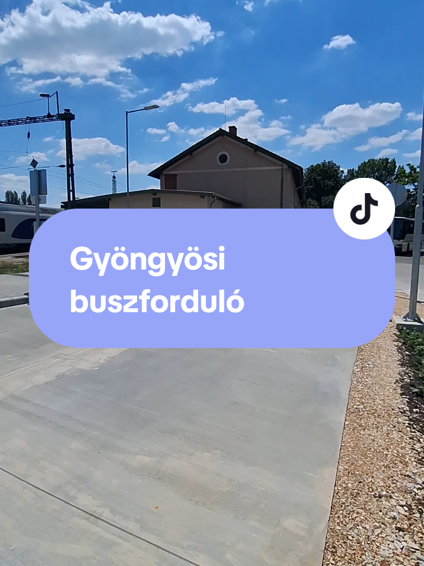 @PTF - Public Transport Fan