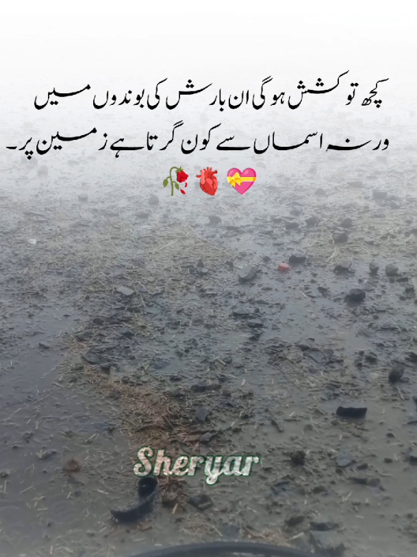 @sheryar