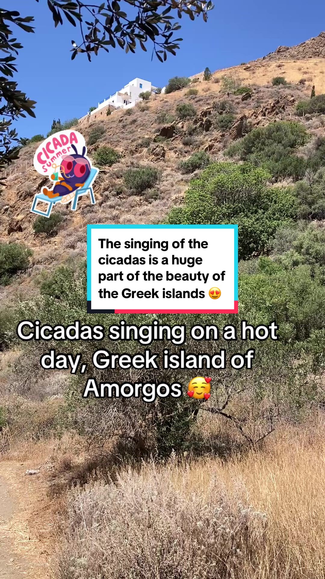 @Awesome Greek Islands
