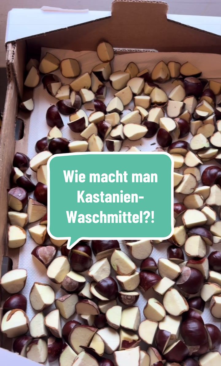 @Virginia Puchwald
