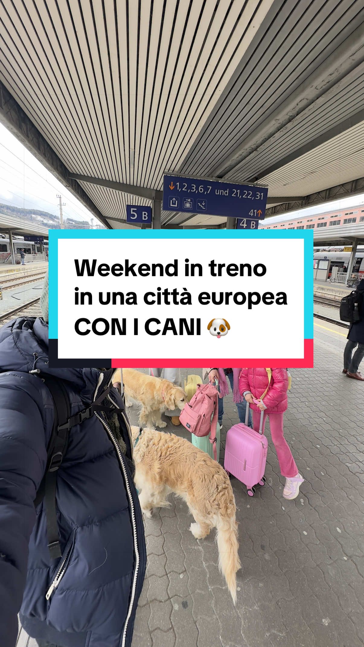 @travellingoldenfamily
