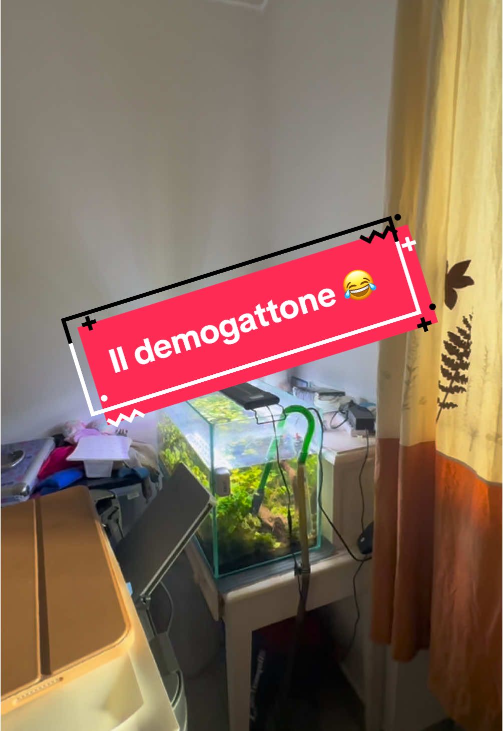 @Semplicemente&ensp;Ambra