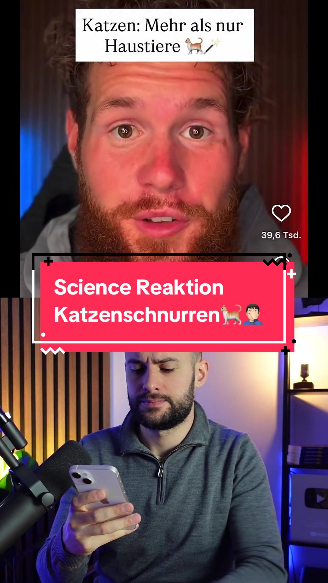 @wissensbert