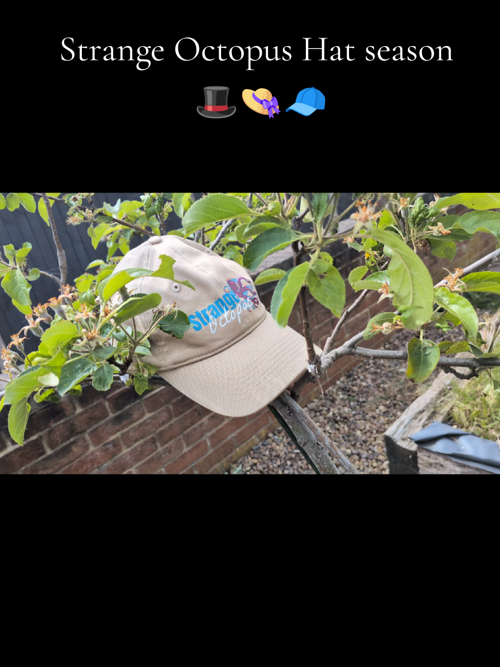 @Strange Octopus Clothing