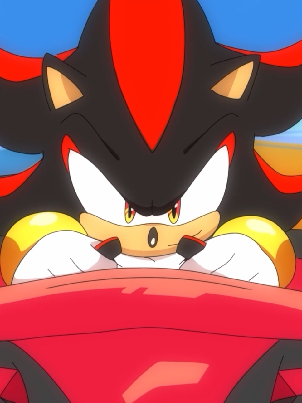@Sonic Paradox