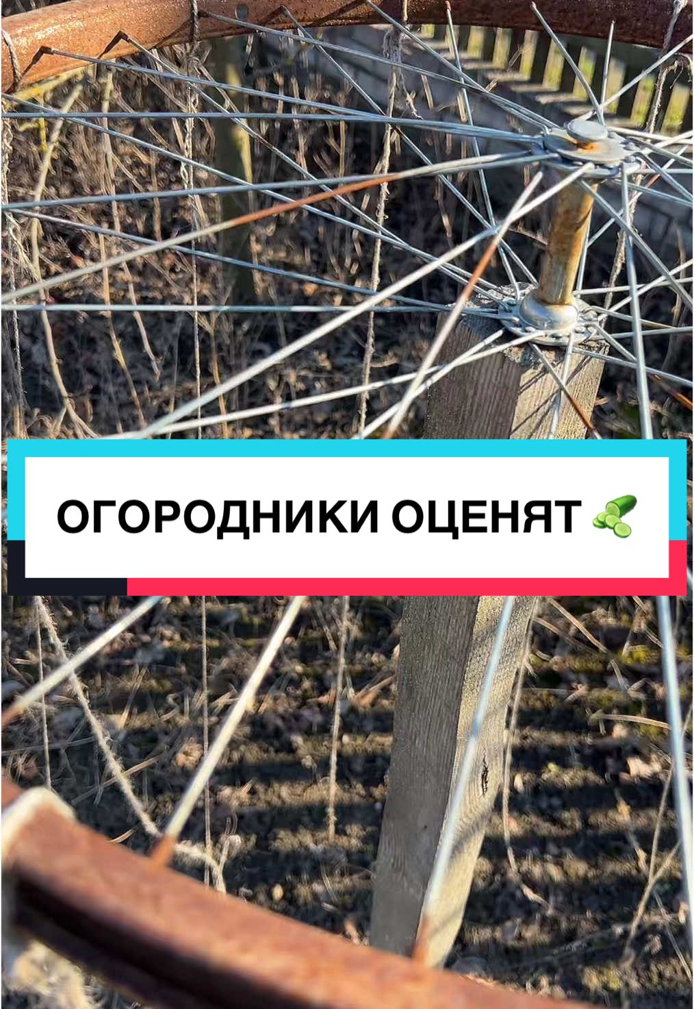 @laifhak_mozgi