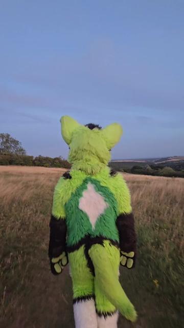 @Nightphin