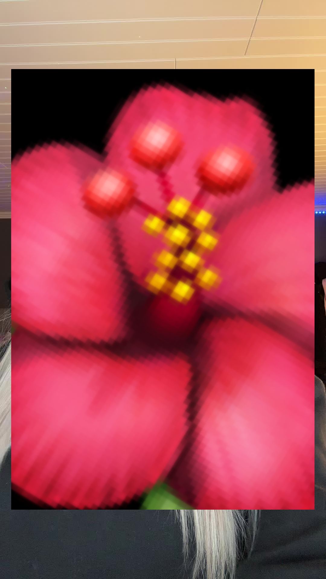 @💞𝓐𝓶𝓮𝓵𝓲𝓪💞