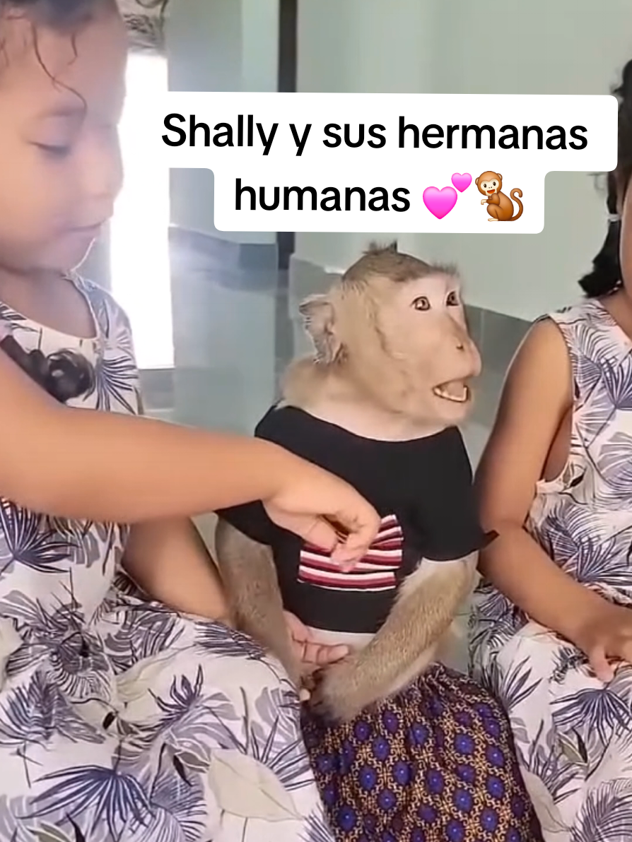 @monkeyYAYA