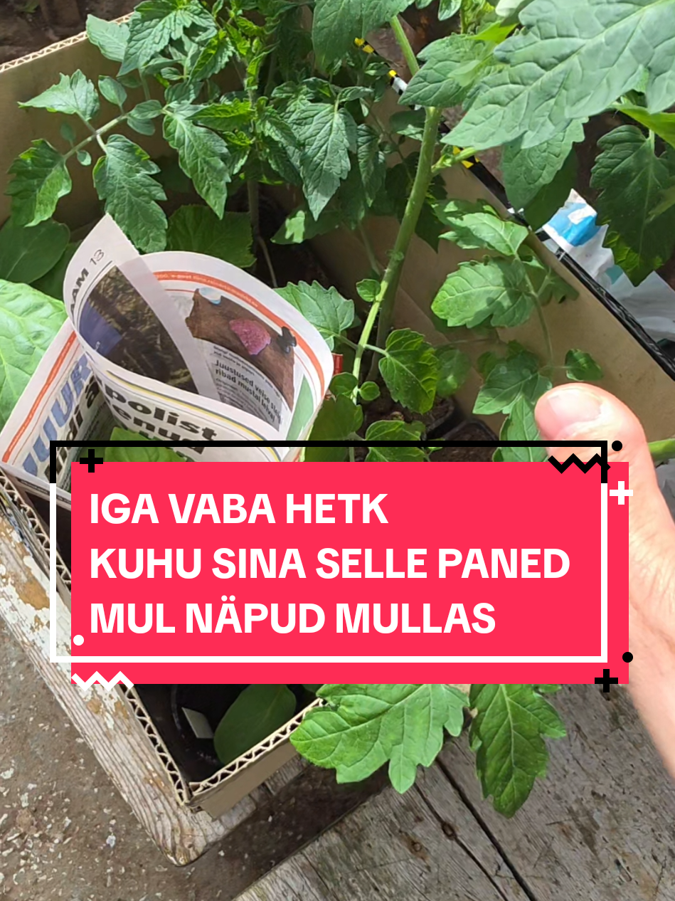 @NAERATUSE MILJONÄR