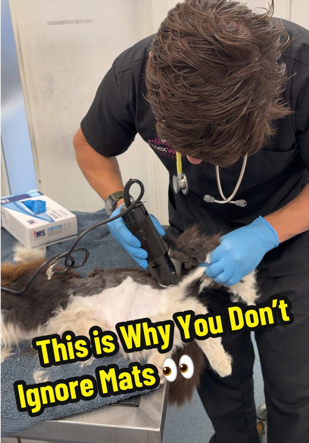 @Tomasthevet