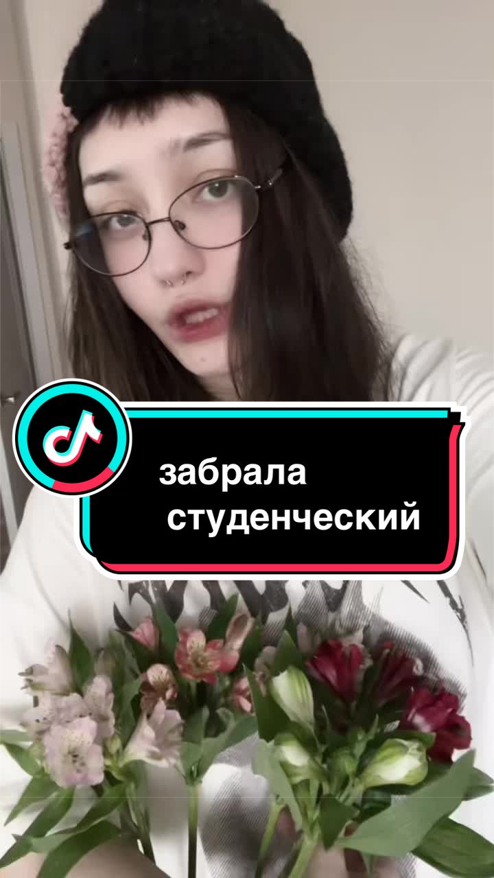 @pingu