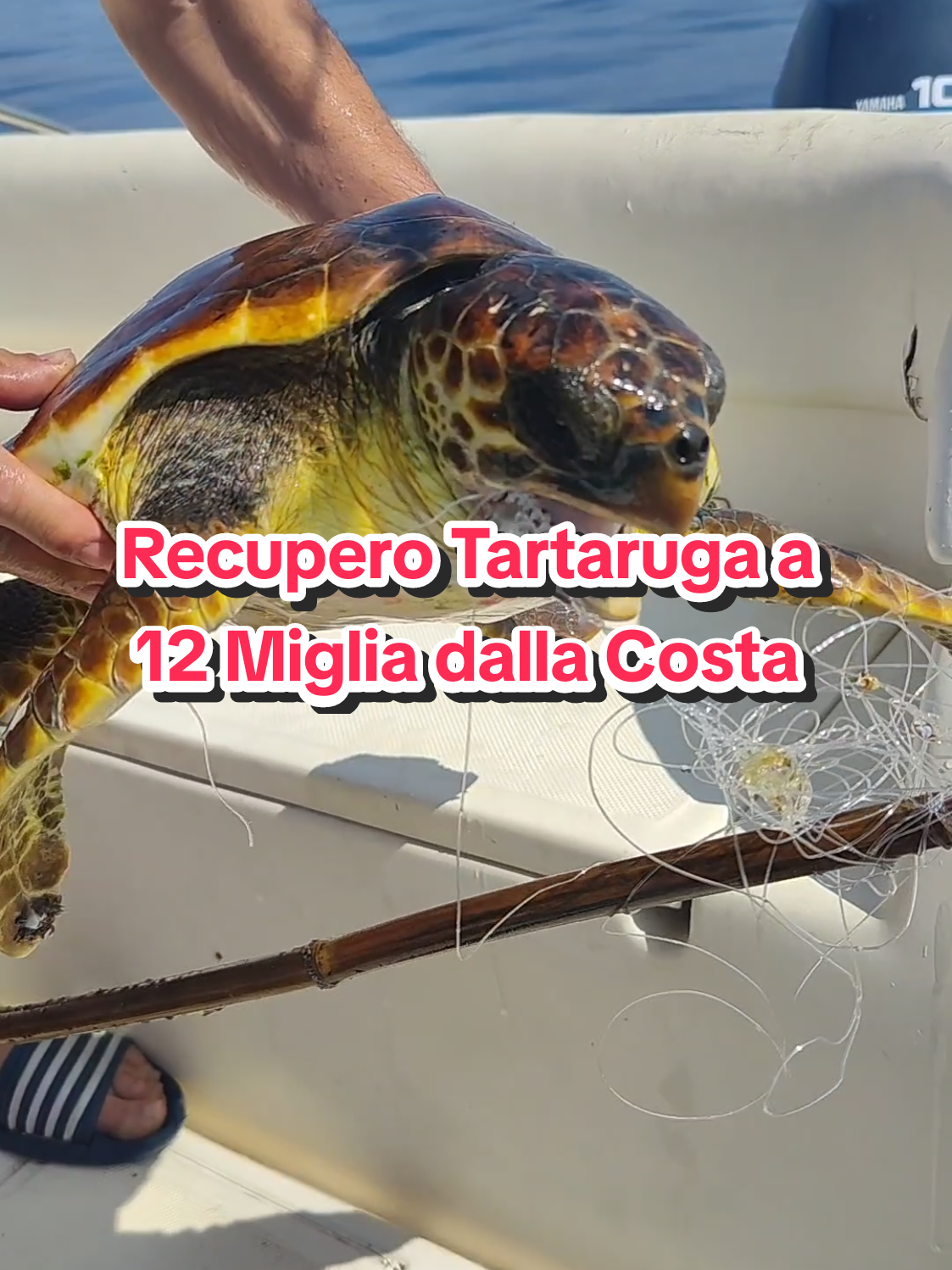 @SportFishingCalabria