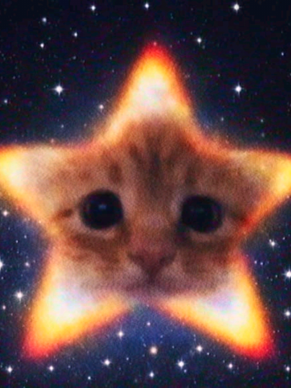 @°๐๏ฝกhollie°๊ฉ•