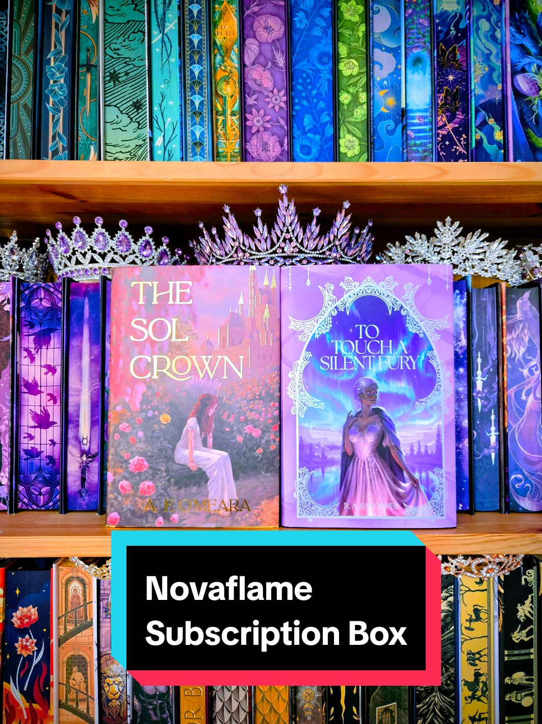 @amanda 📚🐰👑