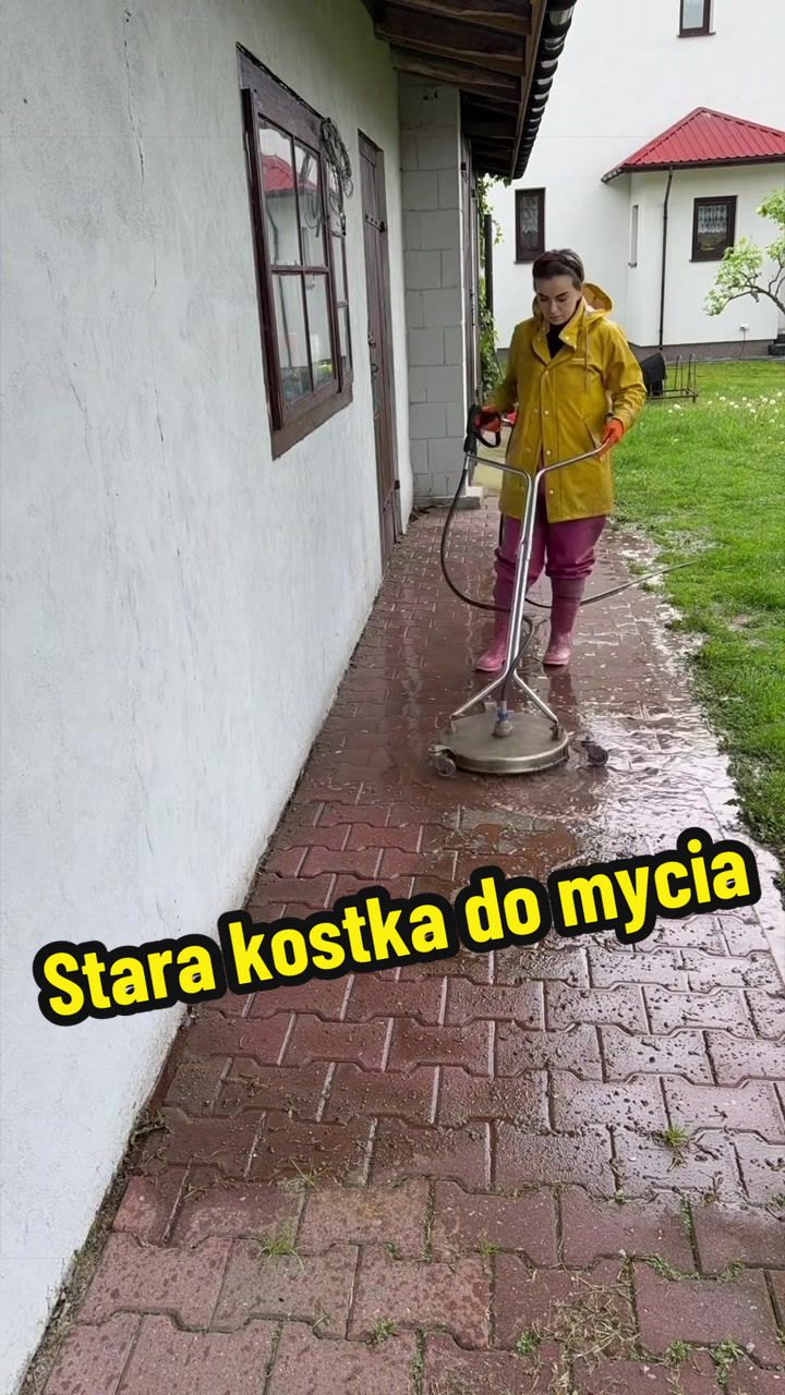@wilkdomymyje