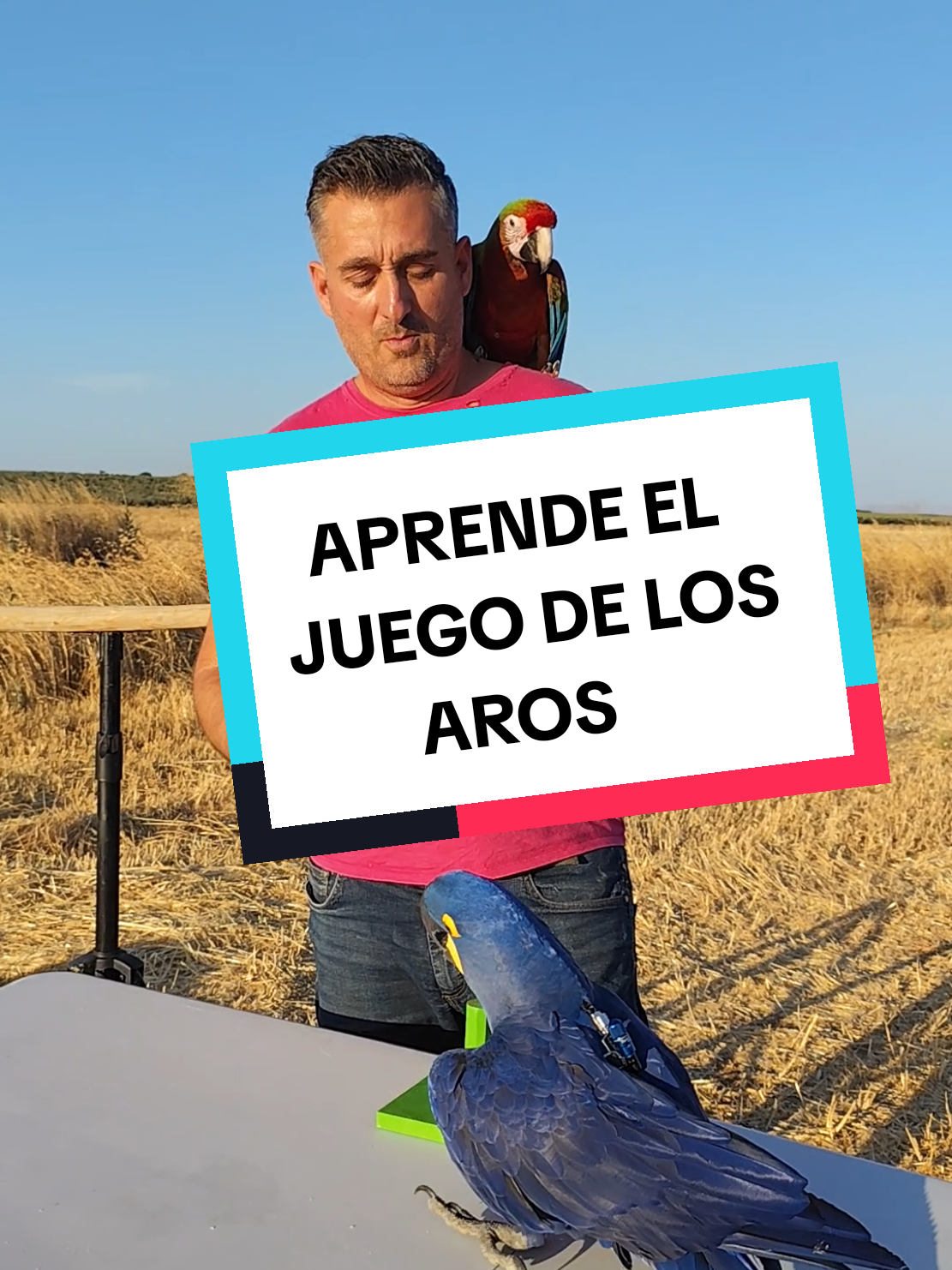 @TODO LOROS