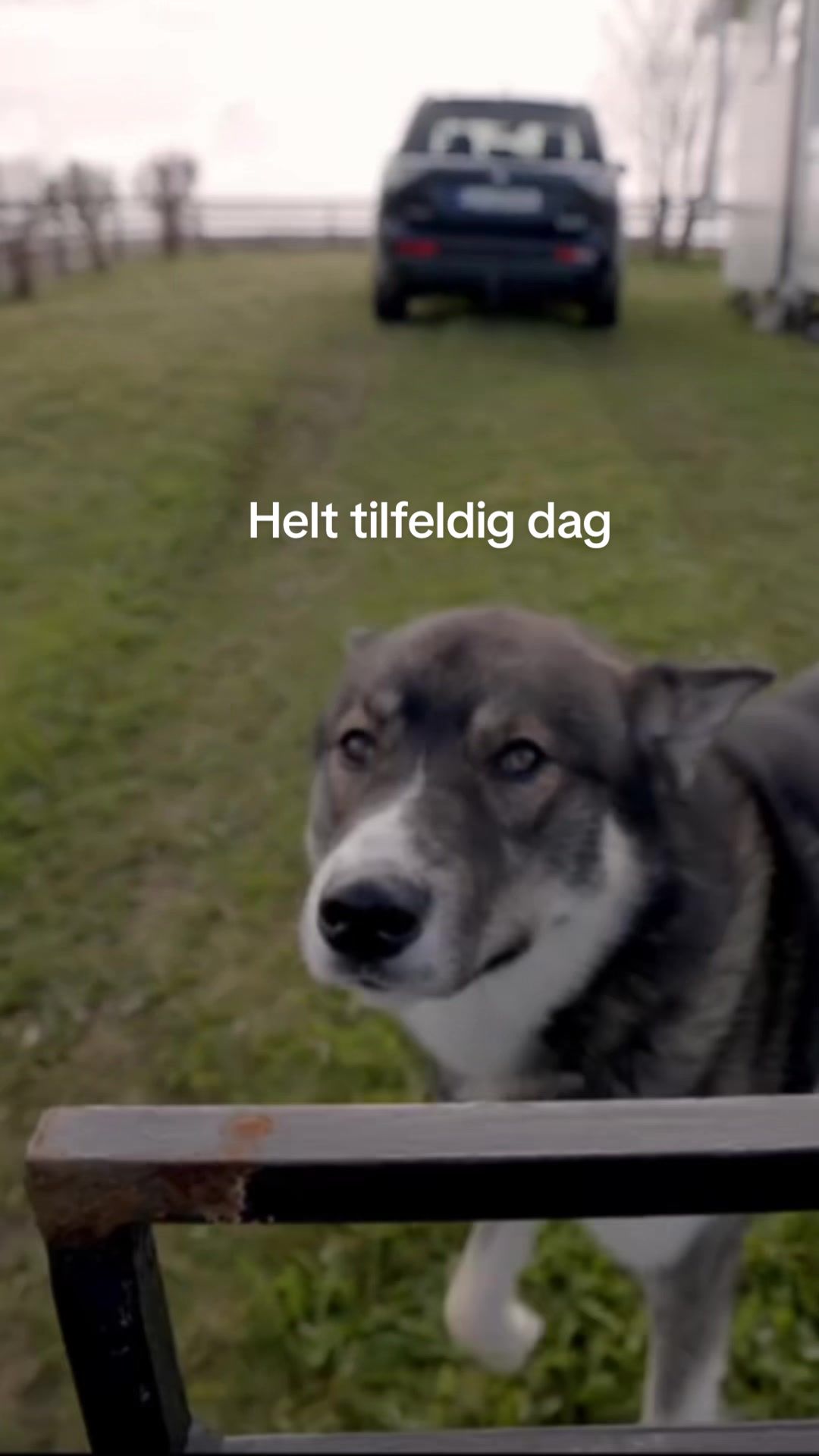 @Malin Tverå Johansen