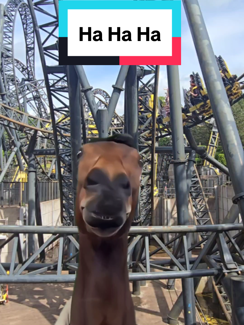 @Roller Coaster Redhead ๐ฉ๐ป๐ฆฐ