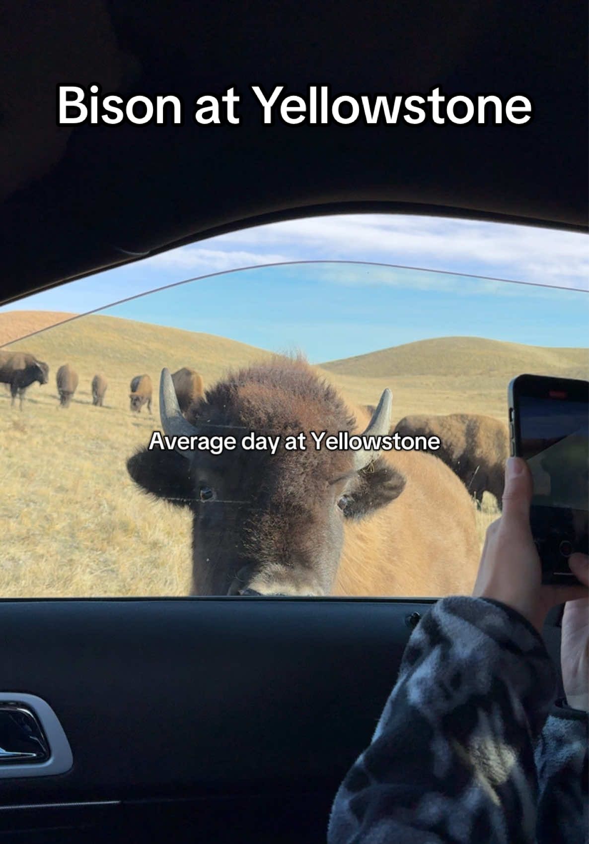 @Elliott Pollen