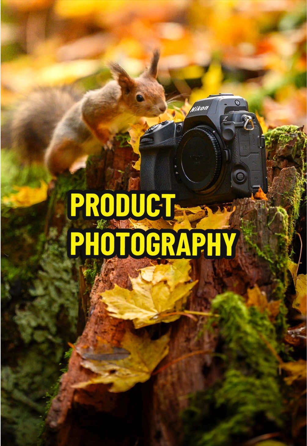 @Nikon Europe