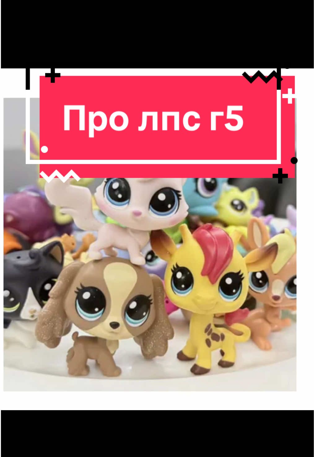 @M colector🧸