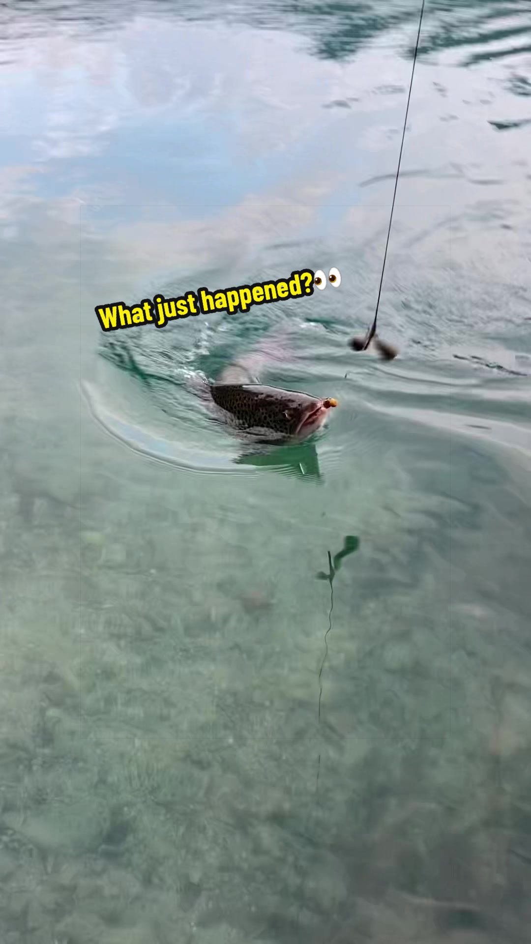@Jannick Fishing