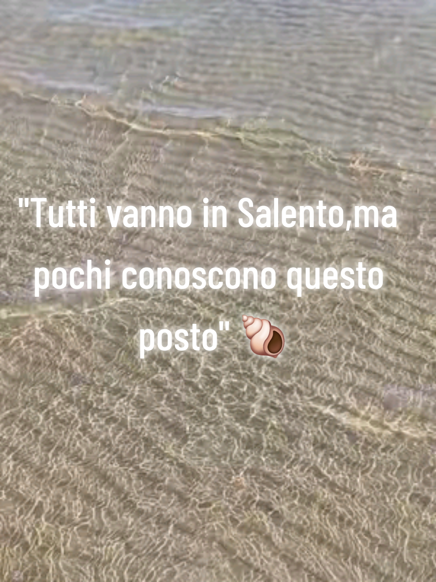 @Fenicottero Reale 🦩