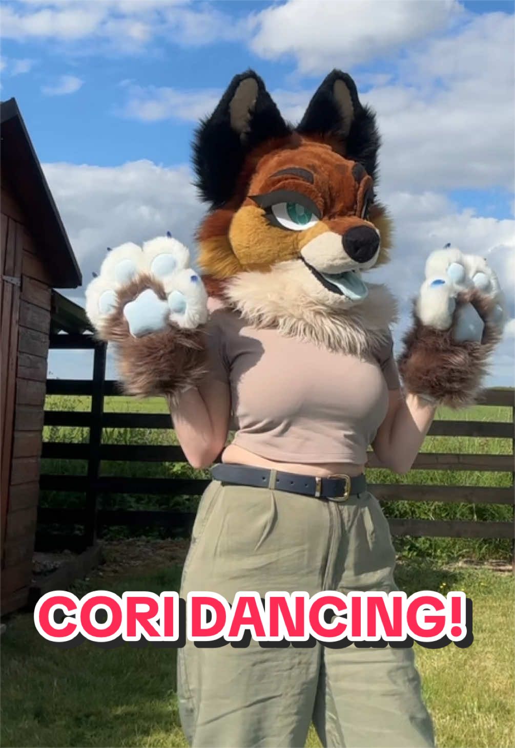 @LilFoxCori