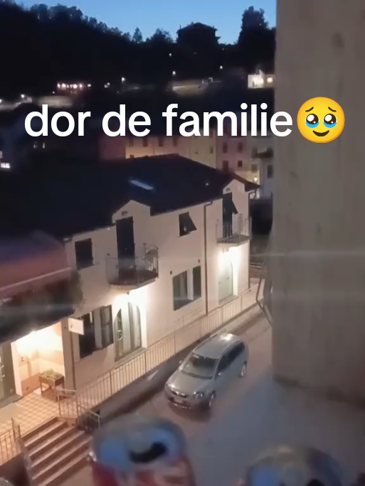@Cristian Gogu