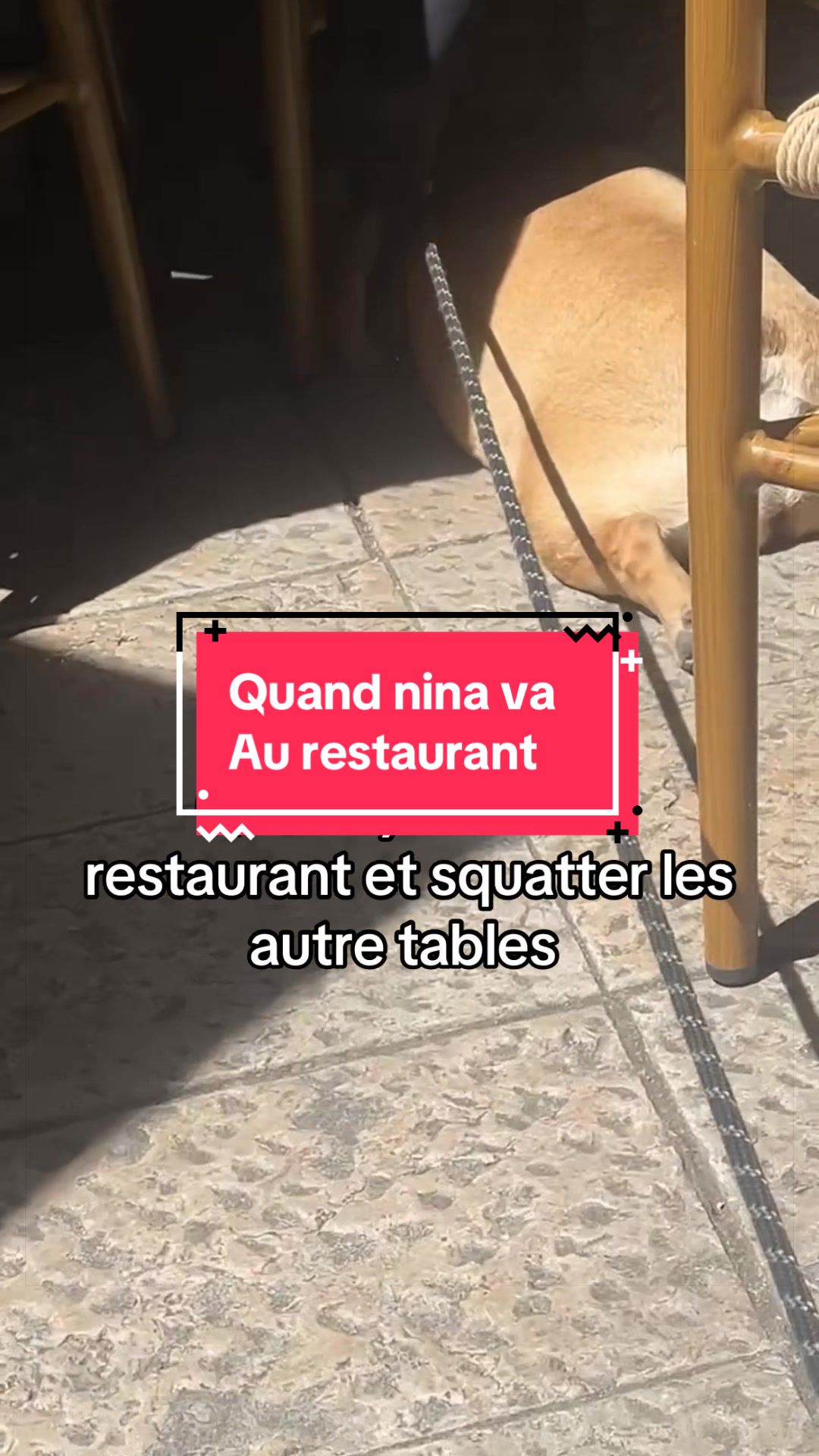 @les aventures de Nina