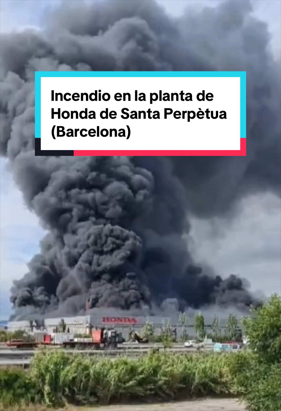 @El Pa&iacute;s