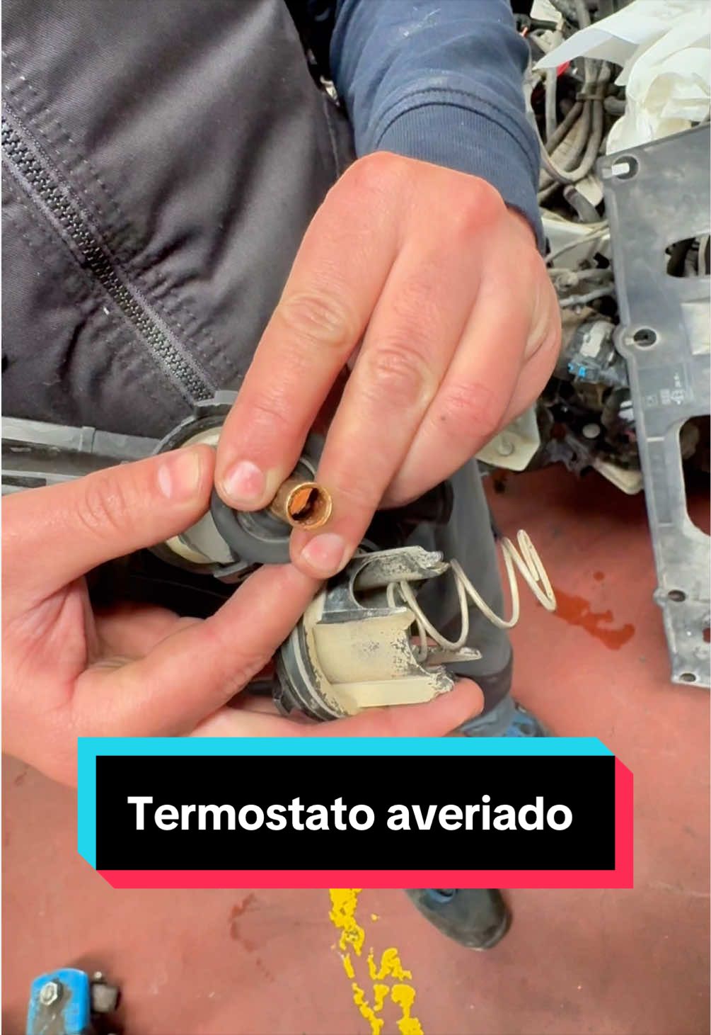 @IMPORAUTO JUNCARIL