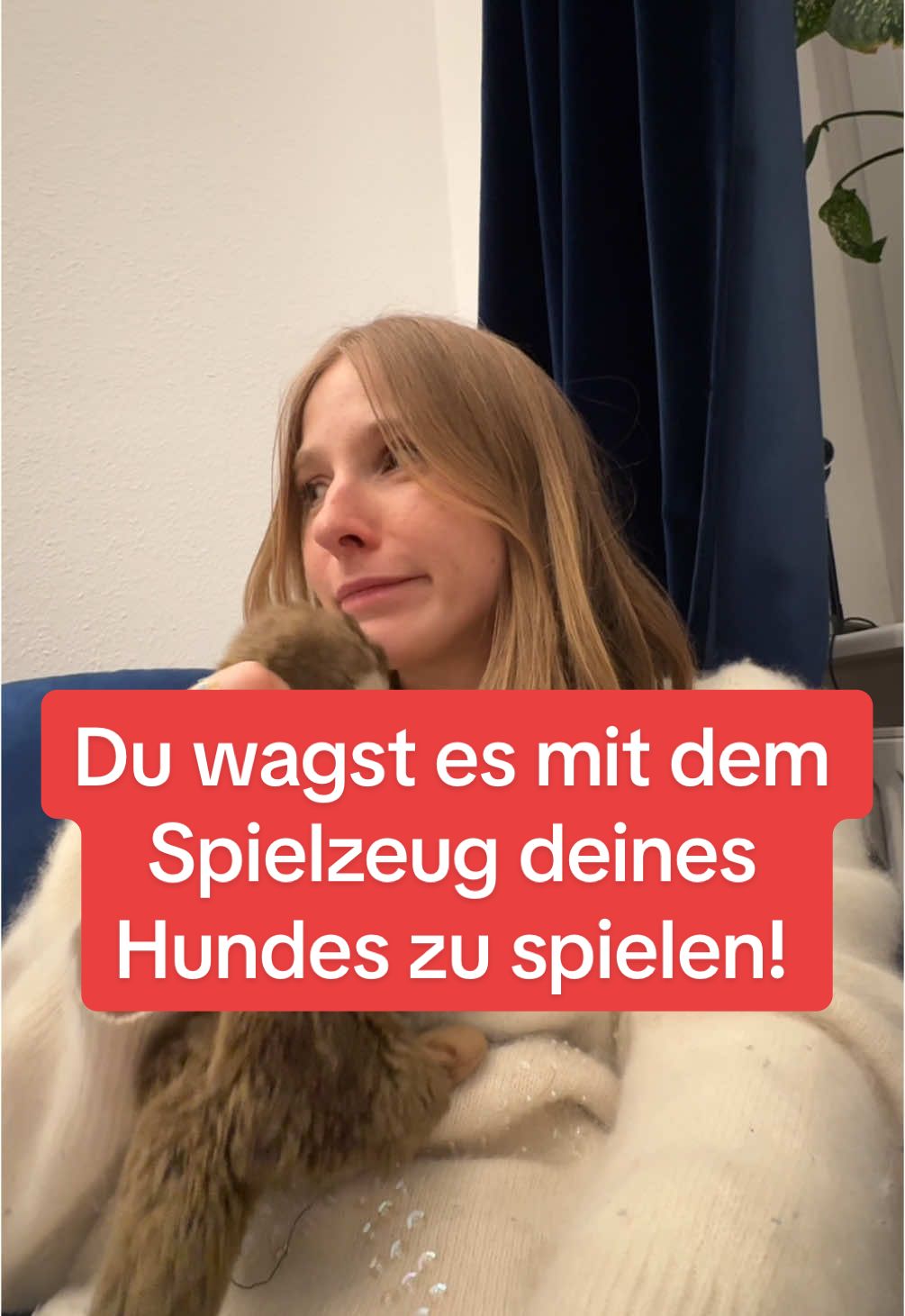 @SausagedogMaja