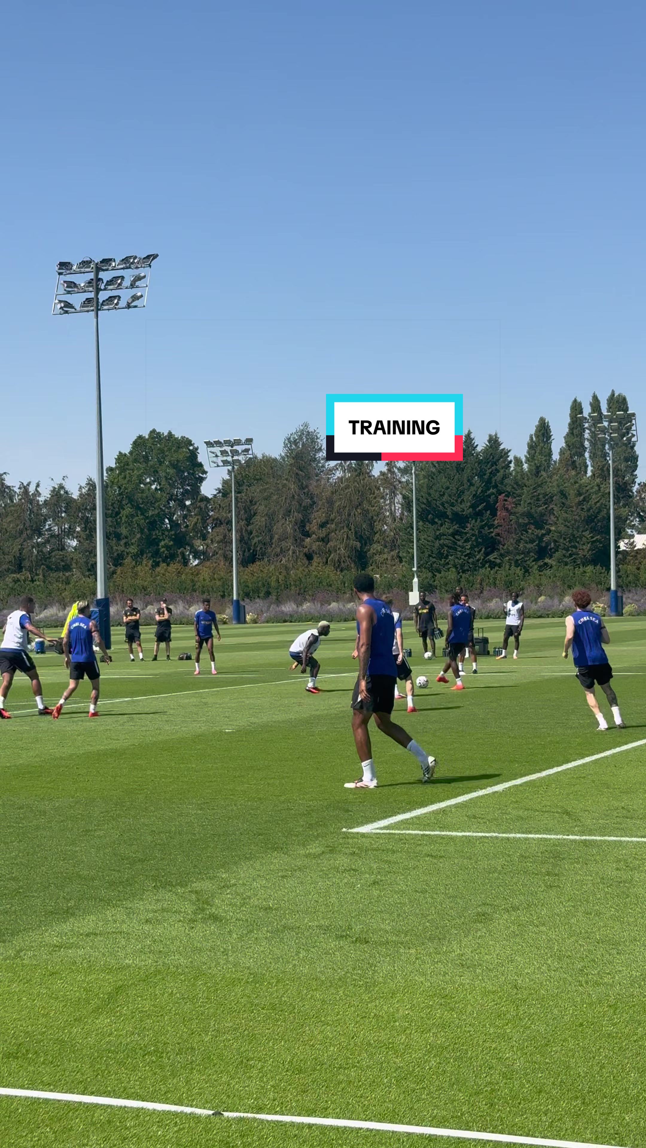 @Chelsea FC